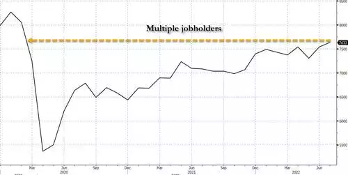 Multiple jobholders Multiple jobholders